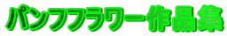 �p���t�t�����[��i�W
